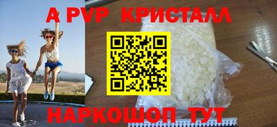 кокс Кингисепп
