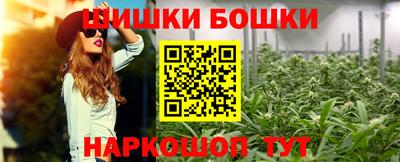 кокс Кингисепп
