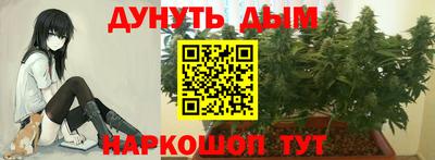 кокс Кингисепп