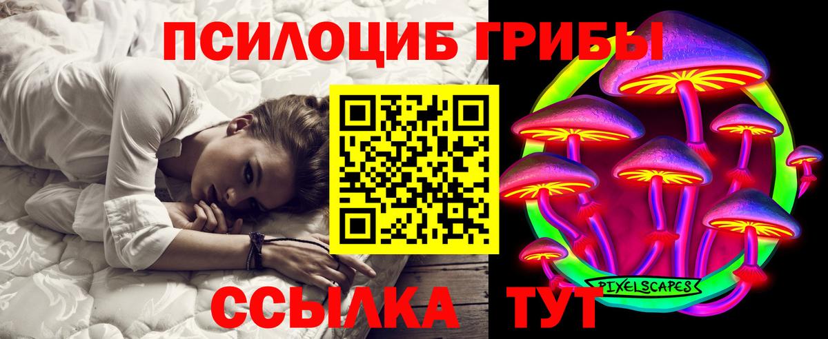 Псилоцибиновые грибы мицелий Конаково
